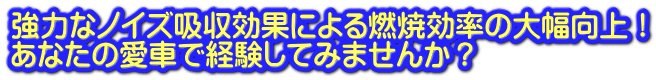 強力なノイズ吸収効果による燃焼効率の大幅向上! あなたの愛車で経験してみませんか?